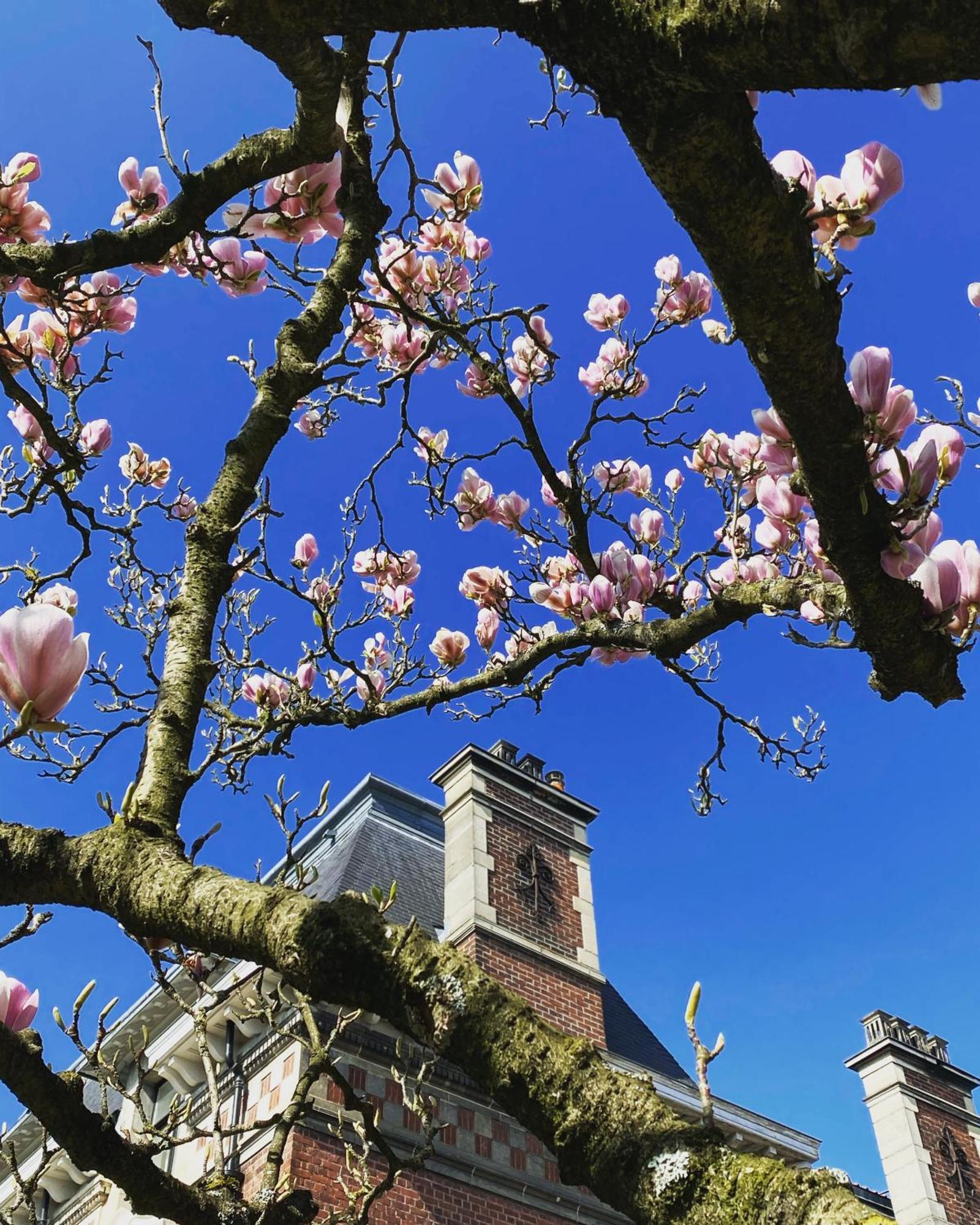 La Villa Barbieux Roubaix Exteriör bild